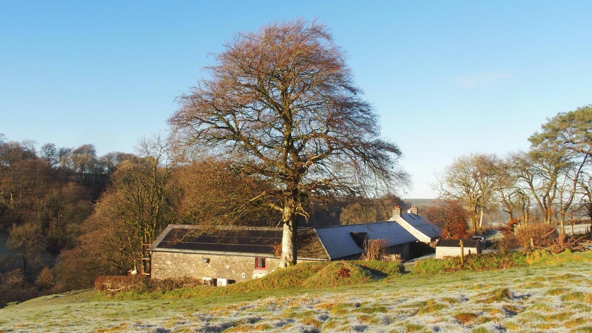 Charming Countryside Barn Lägenhet Pencader  Exteriör bild