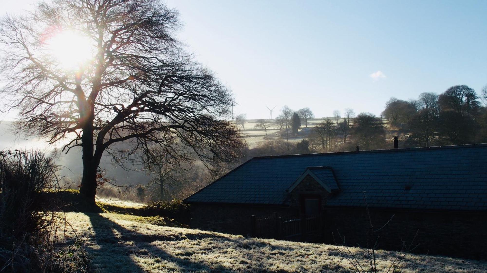 Charming Countryside Barn Lägenhet Pencader  Exteriör bild